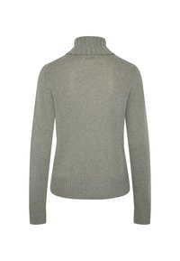 Helles graues, langärmliges, gestricktes Rollkragensweatshirt mit gerippten Bündchen, Saum und Kragen, von hinten auf weißem Hintergrund gezeigt.