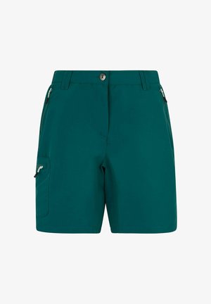 Regatta, REGATTA CHASKA III WALKING SHORTS - Shorts outdoor - mediterranea