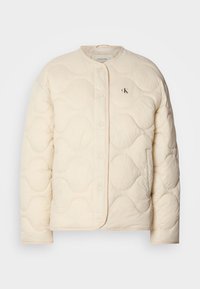 INSULATED LINER JACKET - Winterjas - fog