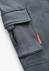 Next JOGGERS - REGULAR FIT - Kargopüksid - petrol