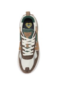 Kaotiko VANCOUVER - Tenisice - brown