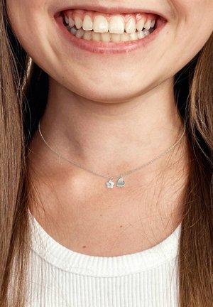 FAVS Collana - zilveren kleur