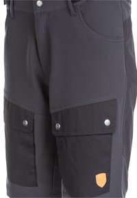 Whistler ERIC - Friluftsshorts - 1051 asphalt