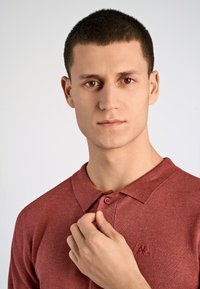 Bordowa koszulka polo z teksturowanej tkaniny, z kołnierzykiem i zapięciem na dwa guziki. Widoczne logo na klatce piersiowej. Model poprawia kołnierzyk.