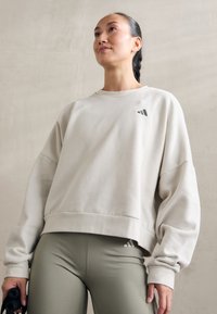 adidas Sportswear ESSENTIALS SMALL LOGO FEEL COZY  - Sportinis megztinis - alumina/grey four