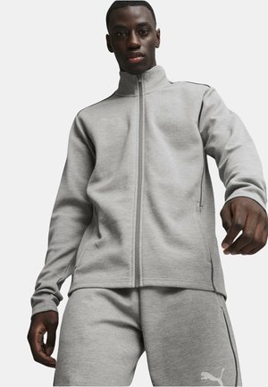 Puma TEAMFINAL CASUALS  - Zip-up sweatshirt - grausilber