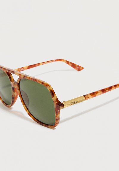 Τετράγωνα γυαλιά ηλίου με καβούκι χελώνας, πράσινους φακούς και χρυσά μπράτσα με λεπτομέρεια λογότυπου Chloé σε λευκό φόντο.