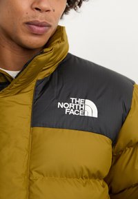 The North Face M LIMBARA INSULATED JACKET - Zimska jakna - moss green