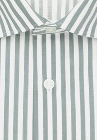 Seidensticker Camicia elegante - green