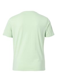 Lichtgroene katoenen t-shirt met korte mouwen en een ronde hals. Voelt glad aan, zonder patronen of accenten, gezien vanaf de achterkant.