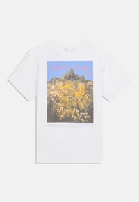 Λευκό T-shirt με πολύχρωμο γραφικό από βραχώδη βουνά και κίτρινα λουλούδια με την επιγραφή «Φυτά και Χλωρίδα της Κοιλάδας του Γιόσεμιτι» στην πλάτη.