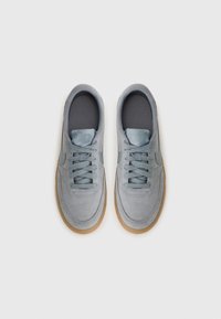 Baskets en suède gris clair avec des lacets gris, semelles en gomme et semelle intérieure texturée. Logo Nike embossé sur la languette. Vue de dessus.