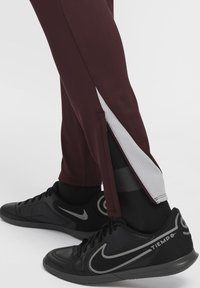 Nike Performance STRIKE PANT - Spodnji deli trenirk - burgundy crush wolf grey wolf grey