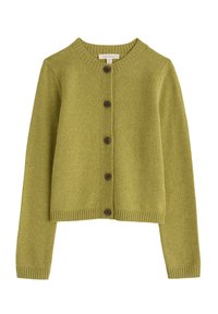 Cardigan in lana verde con scollo rotondo, polsini a coste e cinque bottoni marrone scuro lungo la parte anteriore. Texture morbida e design cropped.