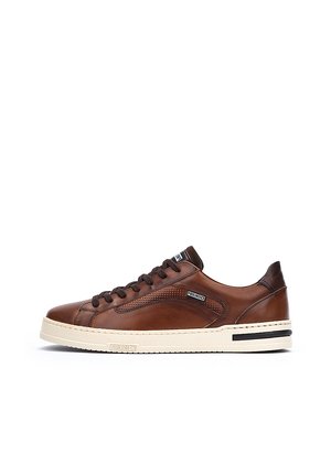 Pikolinos XATIVA - Zapatillas - brown