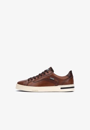 Pikolinos XATIVA - Zapatillas - brown