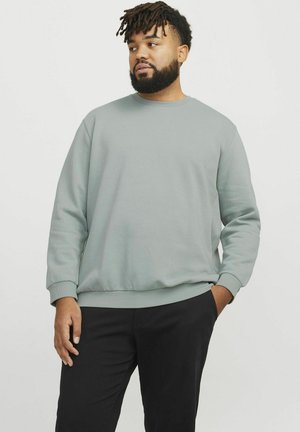Jack & Jones JJEBRADLEY jasnozielony