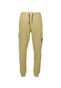 Peak Mountain HOMME - Træningsbukser - beige