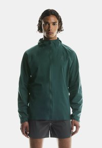 Unausgewählt, spirulina