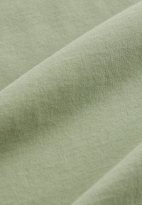 Next ESSENTIAL CREW NECK - Basic póló - green sage