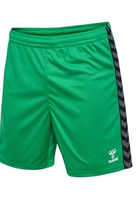 Pantalones cortos deportivos verdes hechos de una tela suave, con un patrón de chevron negro en el costado y una cintura elástica para mayor comodidad.