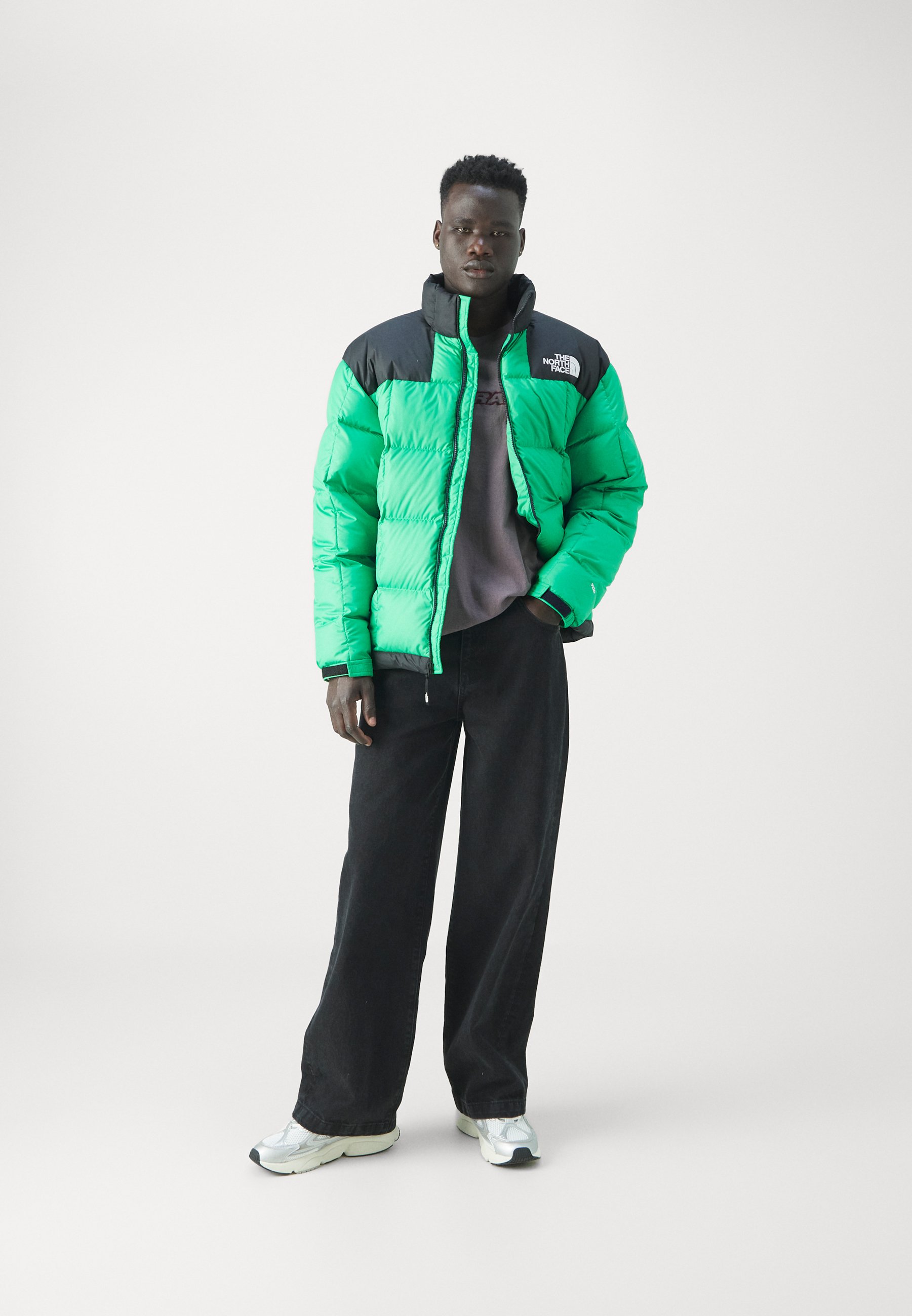 The North Face Winter jacket - optic emerald/green - Zalando
