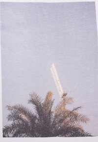 Stadionverlichting die gloeit boven hoge palmbladeren tegen een effen, lichte luchtachtergrond.