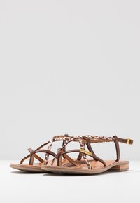 Sandales en cuir marron avec un design de sangle tressée, semelle plate et un petit accent en boucle dorée ; adaptées pour une tenue décontractée.