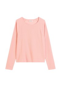 Unselected, rose powder