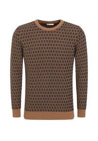 Braun und marineblauer Pullover mit Muster, Rundhalsausschnitt, langen Ärmeln sowie gerippten Bündchen und Saum. Strukturiertes geometrisches Design über das gesamte Stück.