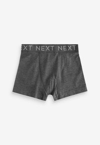 Next 10 PACK STANDARD - Shorty - blue grey