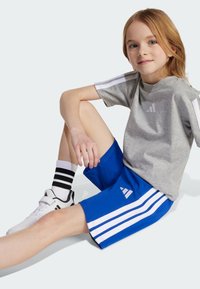 Camiseta gris de manga corta con rayas blancas, combinada con pantalones cortos azules que tienen tres rayas blancas y un logo; incluye calcetines a rayas en blanco y negro.