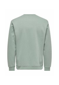 Light green sweatshirt with a crew neck, long sleeves, and ribbed cuffs. Made of soft fabric, featuring a smooth texture and simple design.