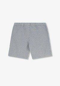 Shorts rayés bleus et blancs avec une taille élastique, une poche arrière unique et un ourlet droit. Fabriqué en tissu léger.