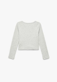 Lys grå, langærmet bluse med rund halsudskæring og cropped design, lavet af blødt, tekstureret stof. Ingen synlige mønstre eller accenter.