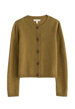 Seasalt Cornwall, SEASALT CORNWALL TERN TIDE CARDIGAN - Gilet - green - fern moss