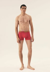 Czerwone bokserki z szerokim żółtym pasem, na którym widnieje napis "HENDERSON", gładki materiał i dopasowany krój, prezentowane przez stojącą męską postać.