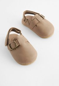 Next PRAM  - Puukingad - neutral