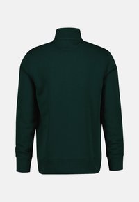 Dunkelgrüner Pullover mit hohem Kragen, langen Ärmeln und gerippten Bündchen und Saum. Aus einem weichen, strukturierten Stoff gefertigt. Schlichtes Design, ohne Muster.