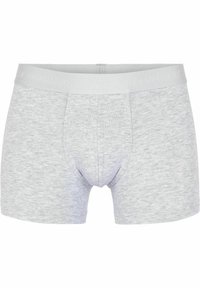 JBS OF DENMARK Trusser - lightgrey