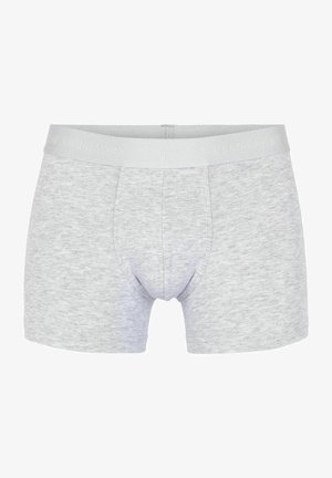 JBS OF DENMARK Trusser - lightgrey