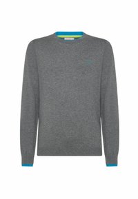 Maglione grigio a maniche lunghe con collo rotondo. Presenta dettagli blu sui polsini e sul colletto, e un piccolo logo sul petto. Tessuto morbido.