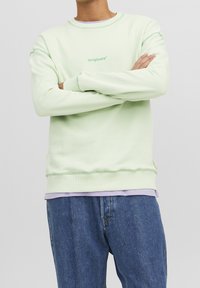 Jack & Jones Sudadera - light green