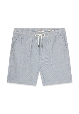 Shorts da uomo a righe verticali azzurro chiaro e bianco, con fascia elastica in vita, coulisse bianca, tasche applicate sul davanti e etichetta del marchio all'interno.