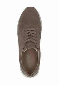 Caprice SNEAKER - Tenisice - mud suede