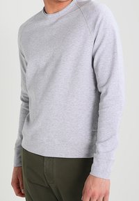 Ljusgrå långärmad sweatshirt med rund halsringning, ribbade muddar och en mjuk bomullstextur. Har en klassisk passform och inga synliga mönster.