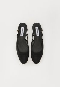 Steve Madden BELINDA - Ballerines - black