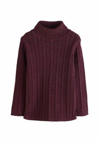 Next REGULAR FIT-ROLL NECK - Džemper - purple