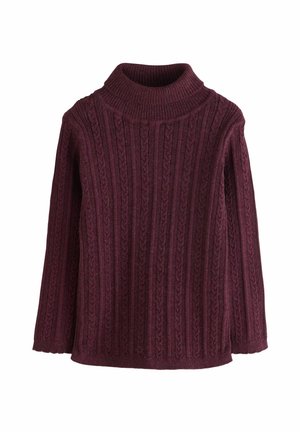 REGULAR FIT-ROLL NECK - Strickpullover - purple