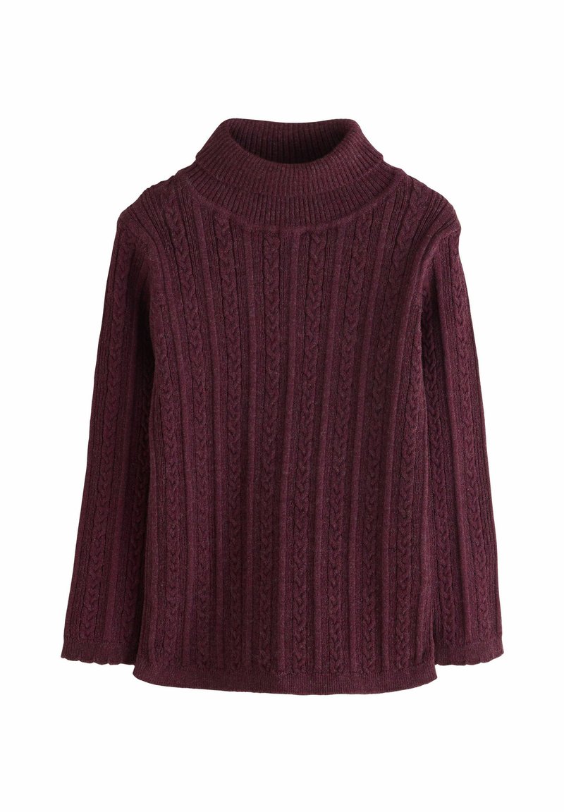 Next REGULAR FIT-ROLL NECK - Džemper - purple